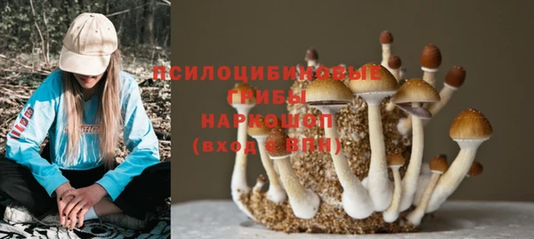 герыч Алексин